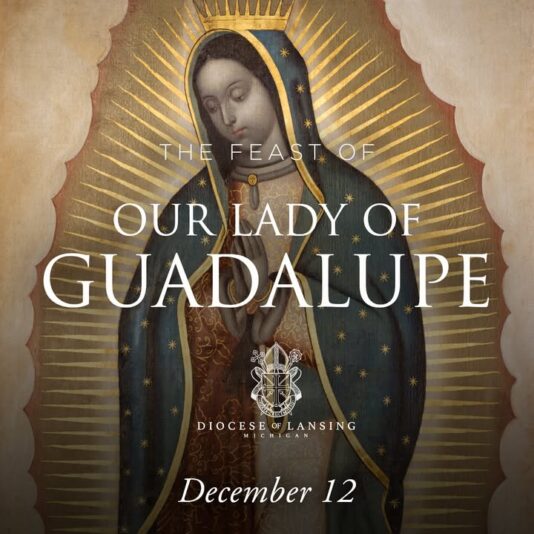 fb-210323997912_1258478546311455