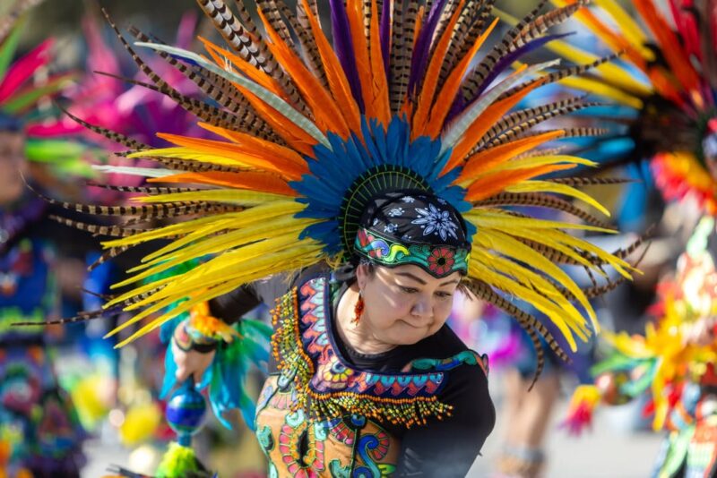 fb-178757502156824_1178195257787043