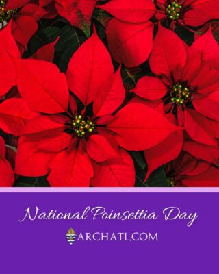 fb-358520518166_1314743317364487