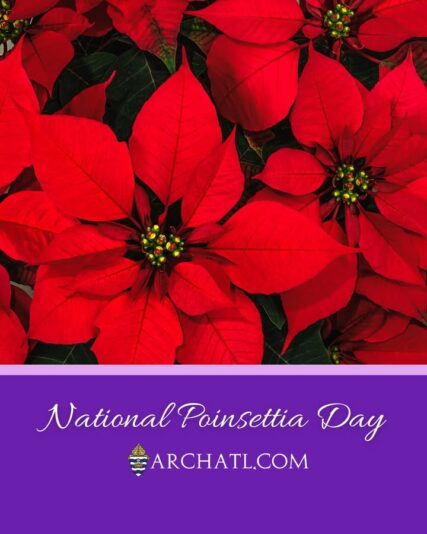 fb-358520518166_1314743317364487