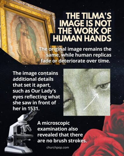 fb-1146610888716848_1312858964216659