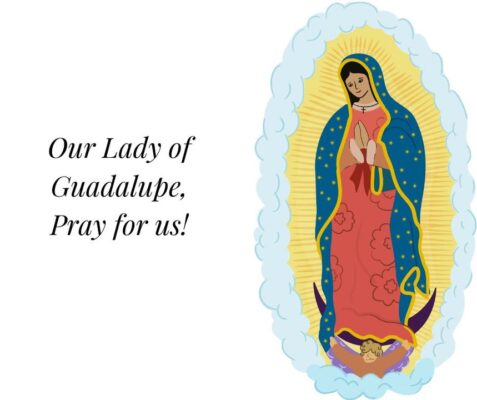 fb-102184176501775_1255968306577653