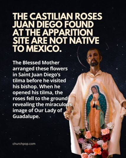 fb-1146610888716848_1312858964216659