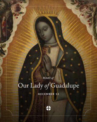 fb-1146610888716848_1312762510892971