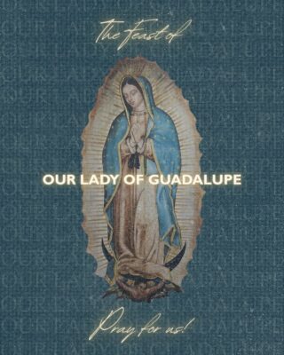 fb-49347972598_1308439064655254