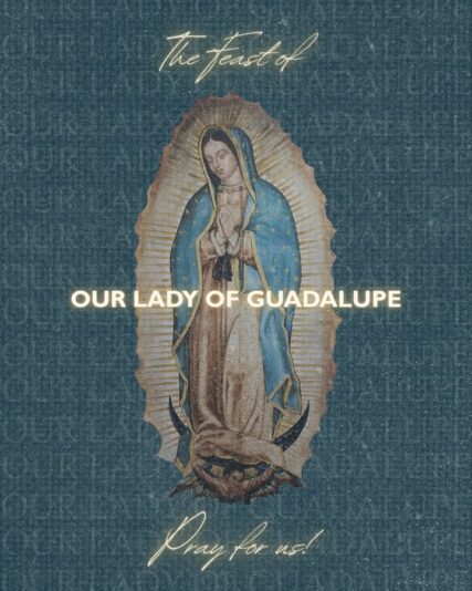 fb-49347972598_1308439064655254