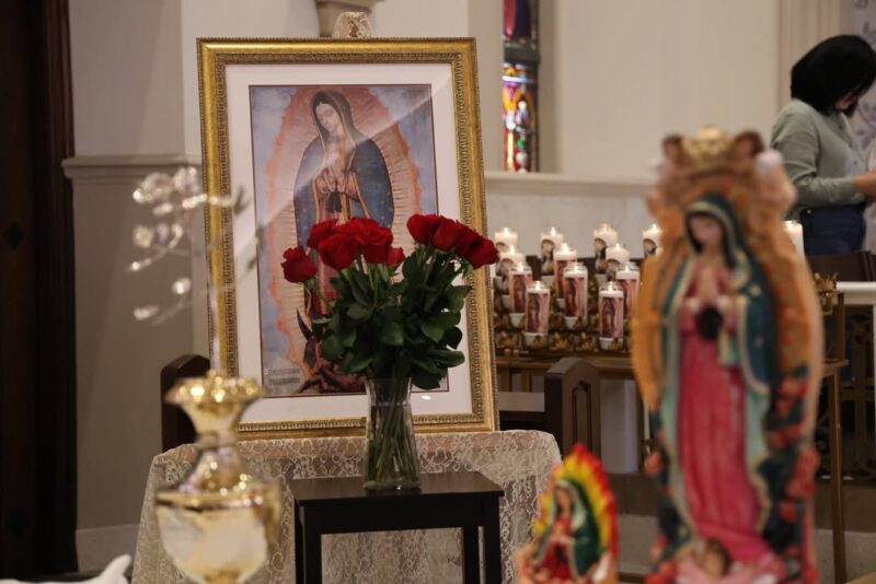 fb-117682098250535_1295765679262731