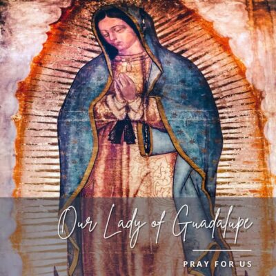 fb-95981452195_1280524617454702