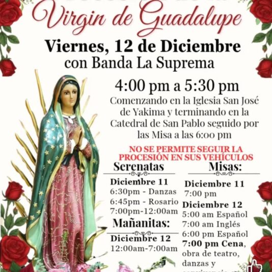 fb-171655892889402_1285071386977460