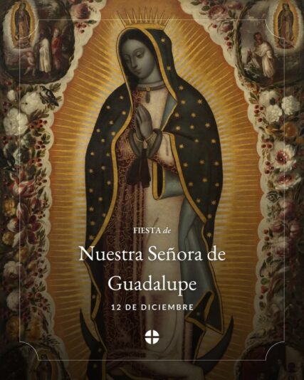 fb-171655892889402_1285039436980655