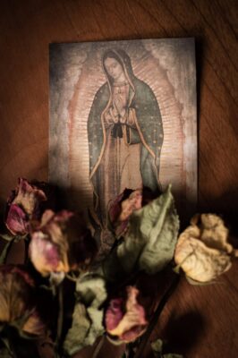 fb-237429376316965_1312495267585775