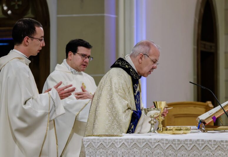 fb-424801330909662_1295597442593930