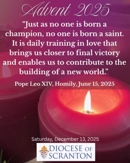 fb-313158165452988_1306405004864782