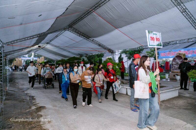 fb-195381603856169_1294011389419391