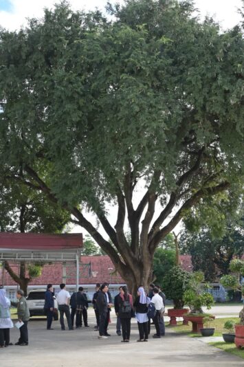 fb-355197651262616_1356559173166169