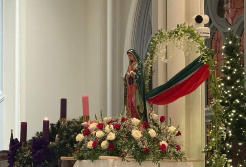 fb-254469157605_1267605555410229