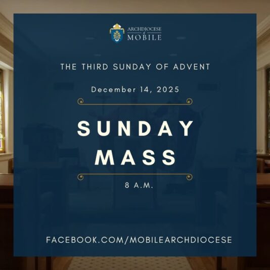 fb-1669188376658004_1499491932177131