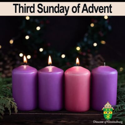 fb-178070992226049_1304535805043036