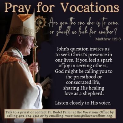 fb-147325878647167_1277046744461259