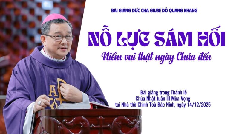 fb-732768673513037_1174929428097273