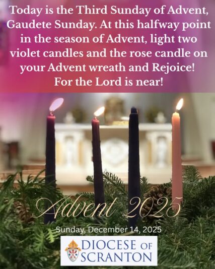 fb-313158165452988_1307139664791316