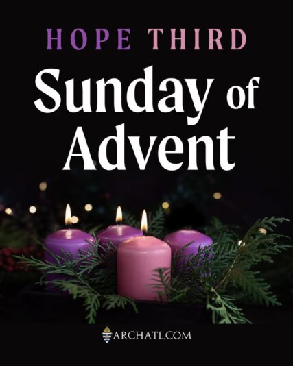 fb-358520518166_1316074607231358