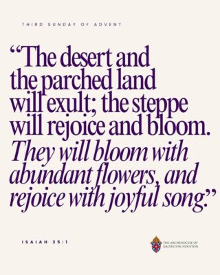 fb-178757502156824_1179196831020219