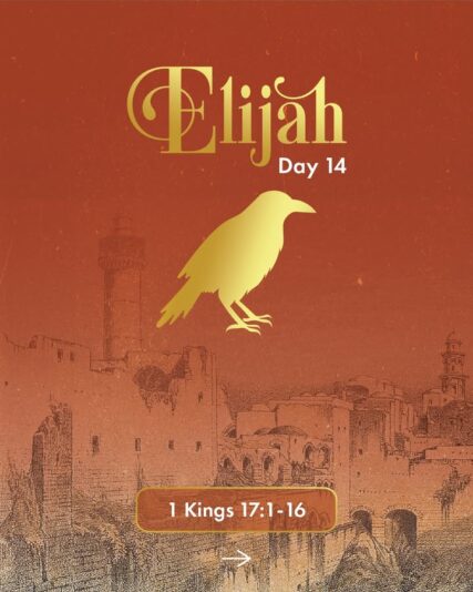 fb-124319130912226_1300624032110022