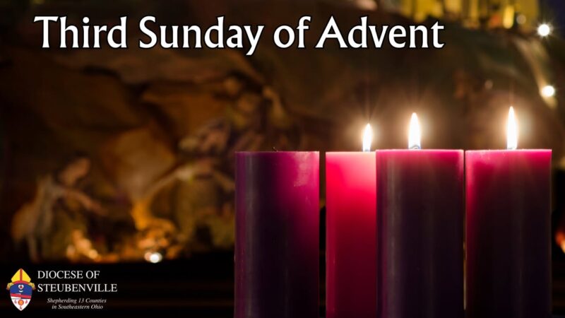 fb-199588210391012_1183340517325106