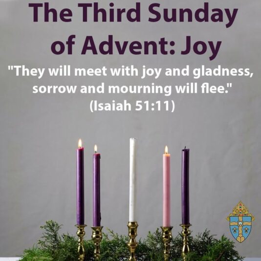 fb-267652796676847_1261695105993856