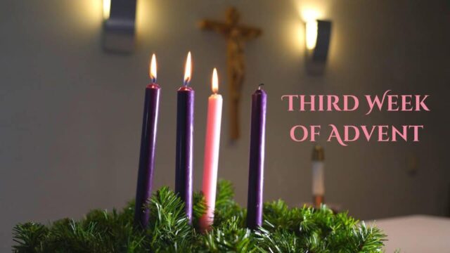 fb-349227201901874_1192589926299206