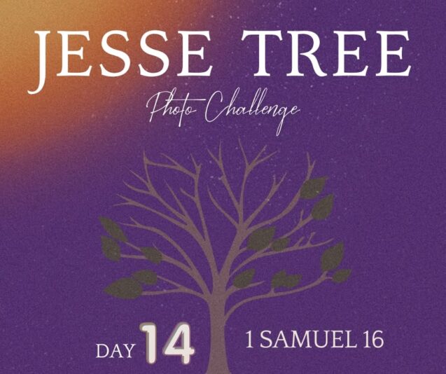 fb-107704176960_1262756635886479