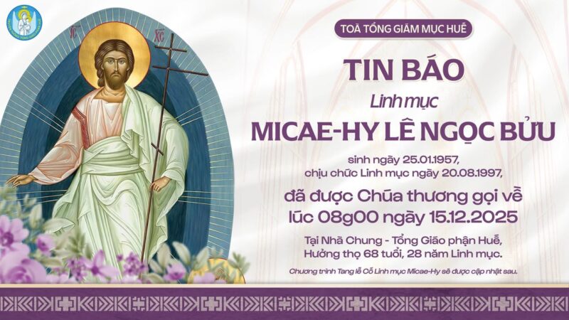 fb-356526171666570_1158474009608458