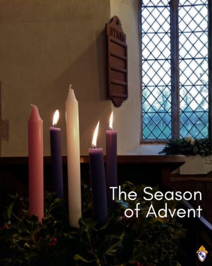 fb-168358359553_1216067820623656