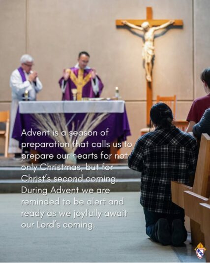 fb-168358359553_1216067820623656