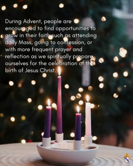 fb-168358359553_1216067820623656