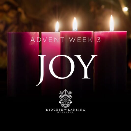 fb-210323997912_1260100382815938