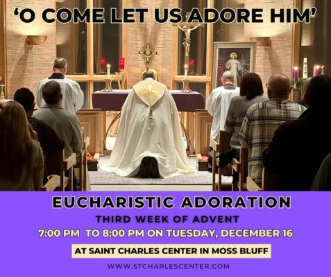 fb-249421551878973_1312462734248889