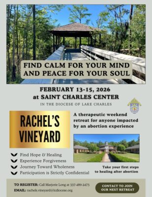 fb-249421551878973_1312393380922491