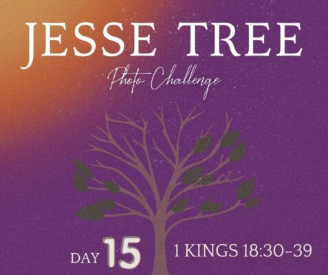 fb-107704176960_1263500212478788