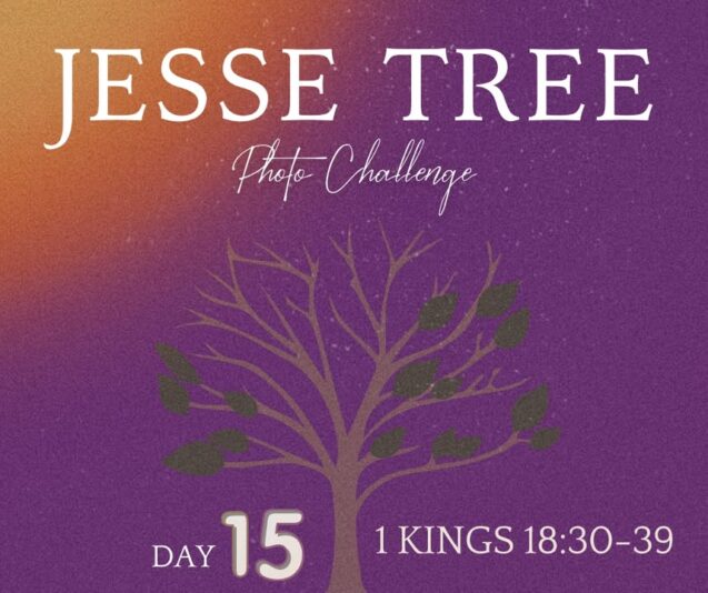 fb-107704176960_1263500212478788