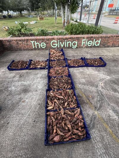 fb-147325878647167_1277839977715269