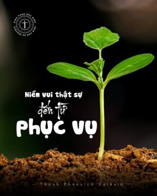 fb-732768673513037_1175934241330125