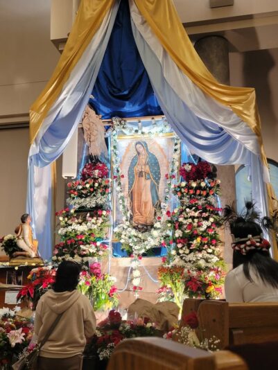 fb-171655892889402_1287443050073627