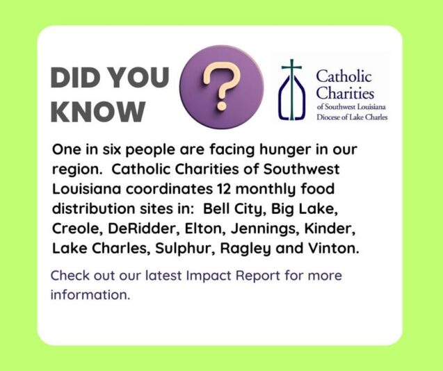 fb-249421551878973_1313424774152685