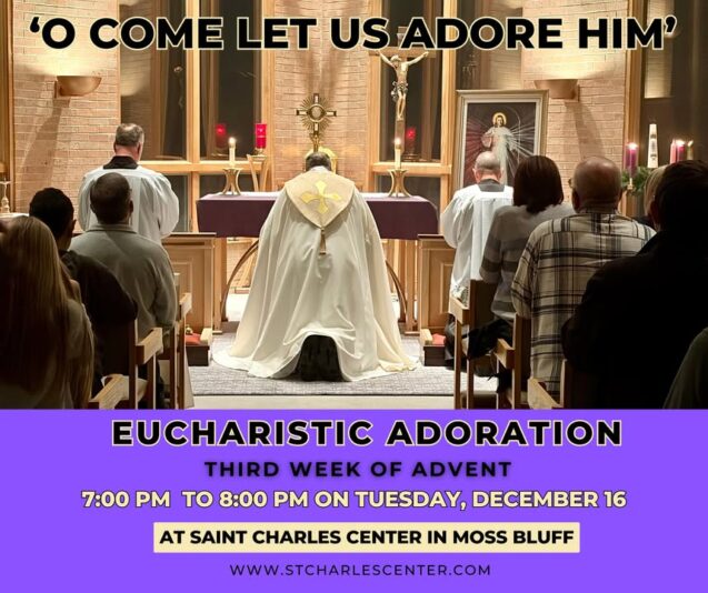 fb-249421551878973_1313326360829193