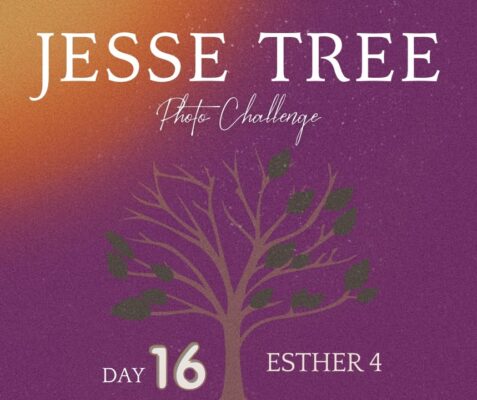 fb-107704176960_1264256495736493