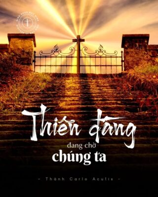 fb-732768673513037_1176630097927206