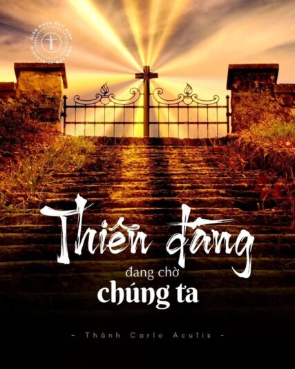 fb-732768673513037_1176630097927206