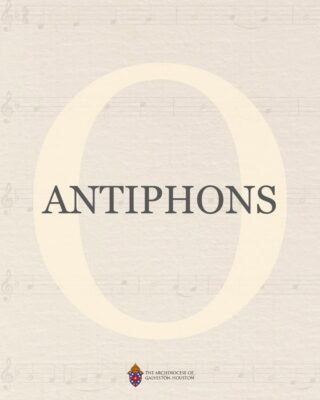 fb-178757502156824_1181013420838560